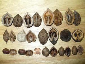 Comment bien investir